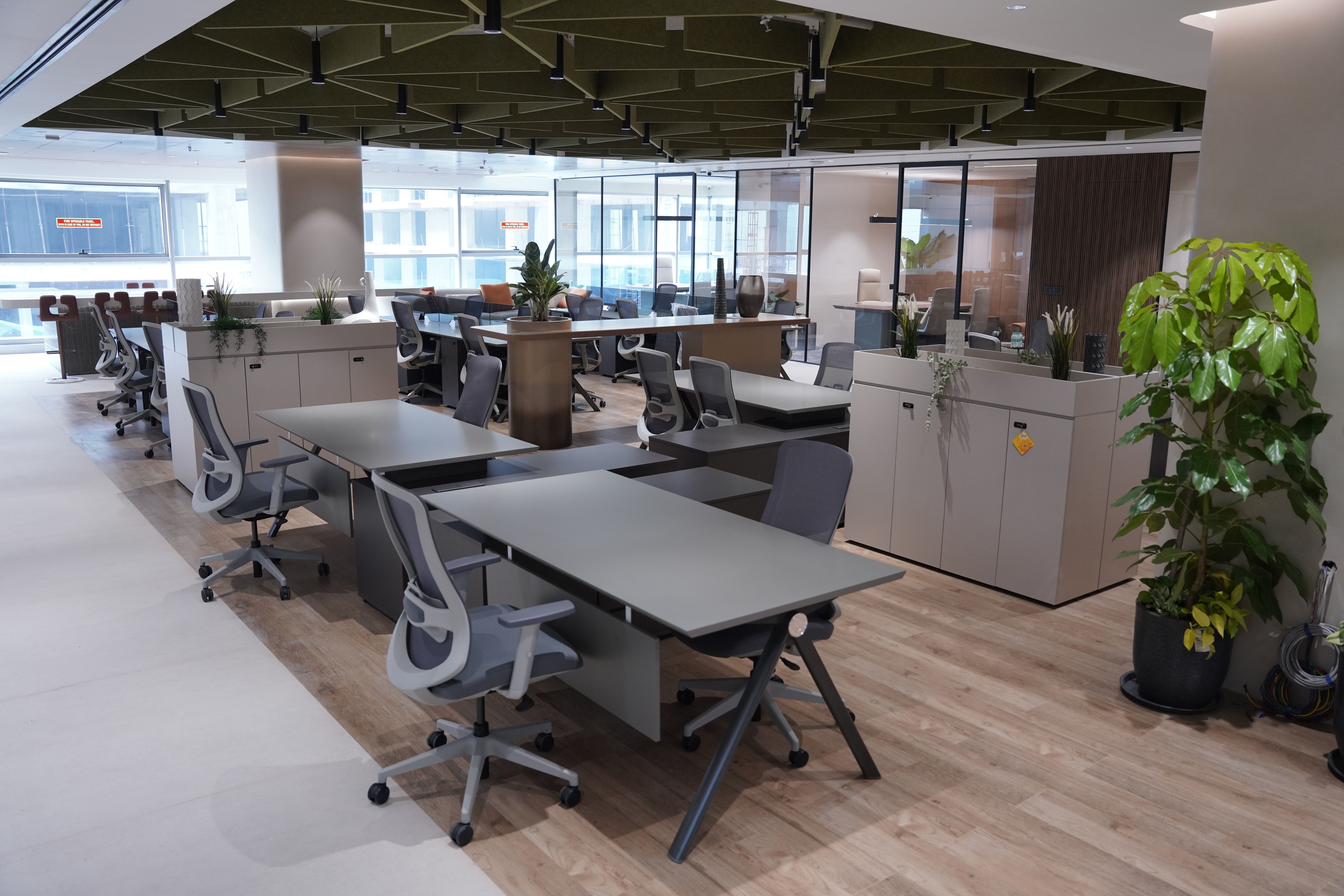 jpeg-optimizer_DSC01333