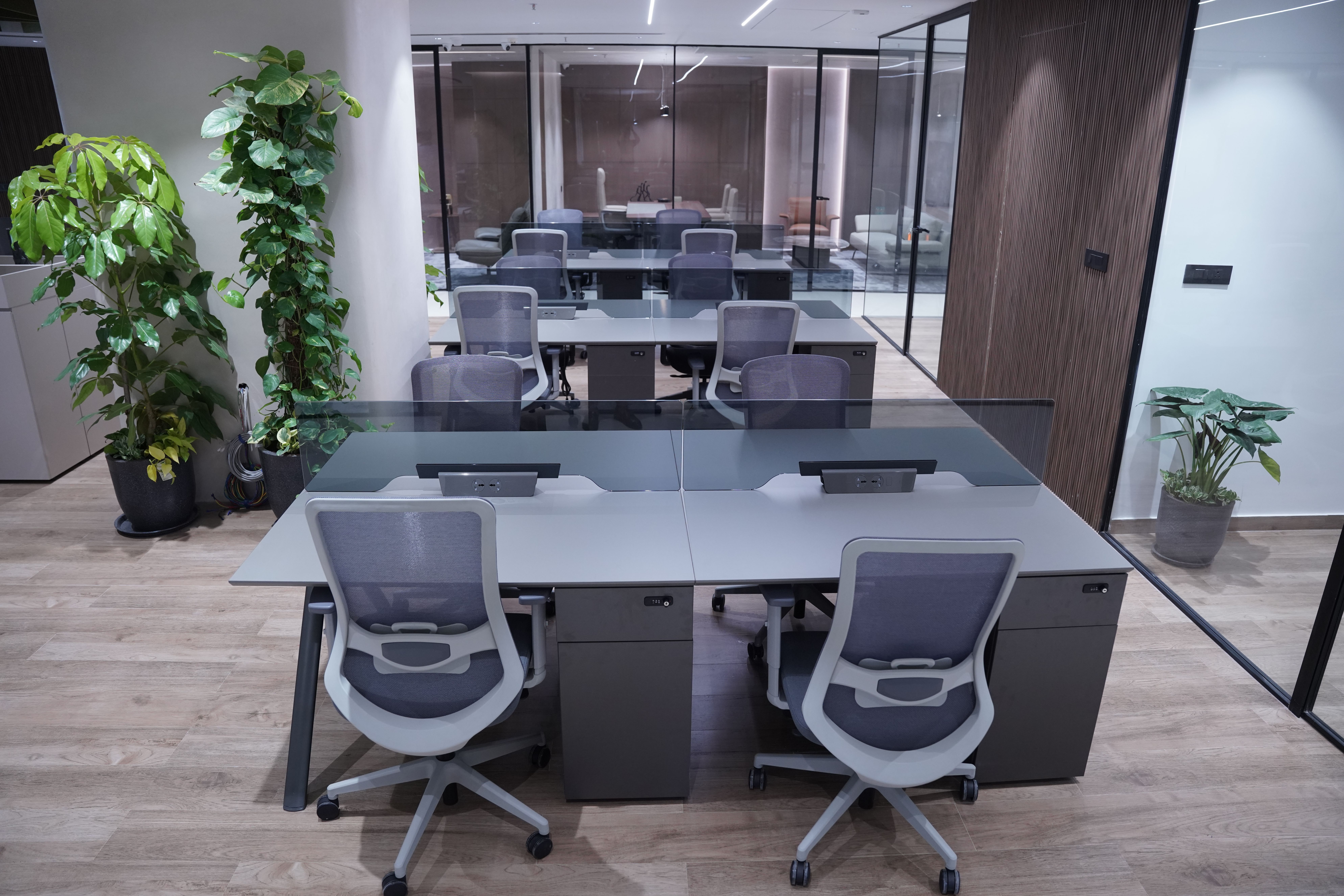 jpeg-optimizer_DSC01335